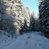 Zima na Koziarzu, Brzynie, Obidzy